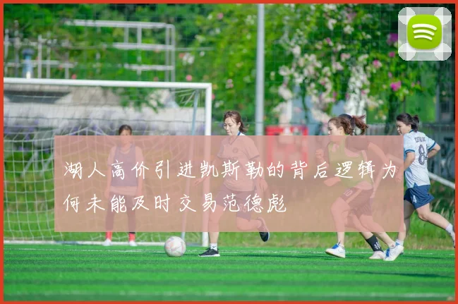 湖人高价引进凯斯勒的背后逻辑为何未能及时交易范德彪