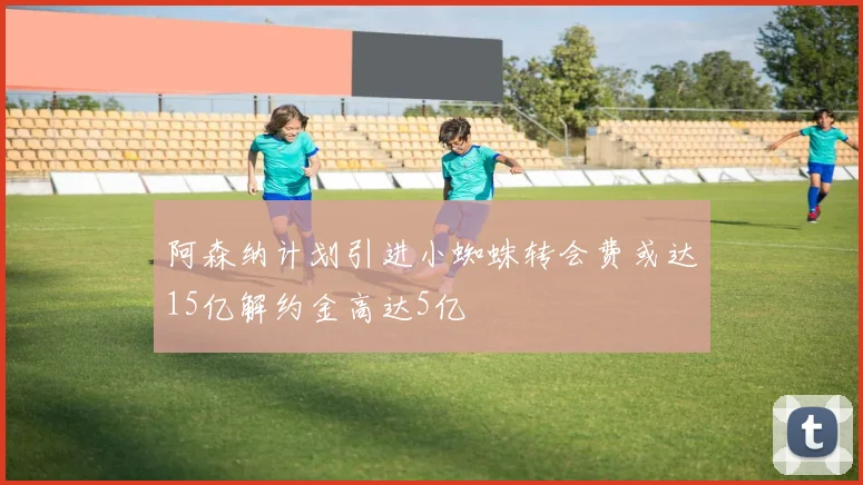 阿森纳计划引进小蜘蛛转会费或达15亿解约金高达5亿